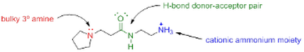 Chemical structure of a simple dendrimer analogues