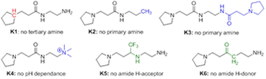 Chemical structures of knock-out analogues