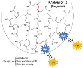 Dyes binding to PAMAM dendrimers