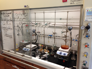 A chemical synthesis fume hood